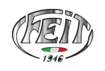 Logo FEIT