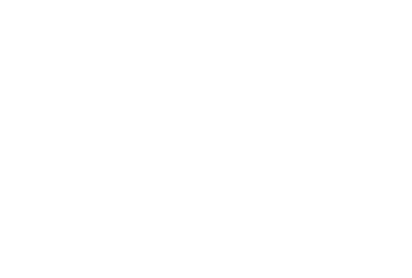 Logo Besenzoni